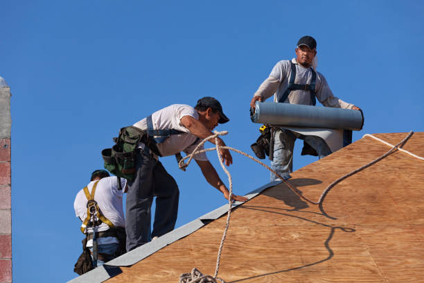 Best Storm Damage Roof Repair  in Fulton, KY