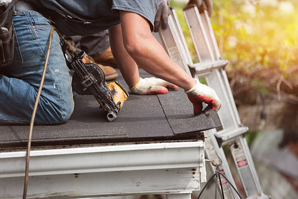 Best Roof Gutter Cleaning  in Fulton, KY